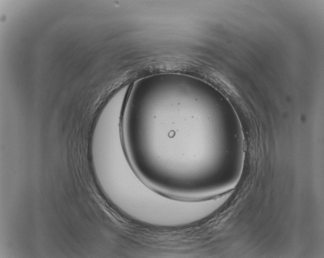 X0000064750401200602171738