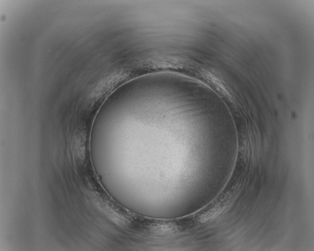 X0000064750402200602171738