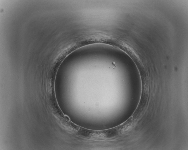 X0000064750403200602171738