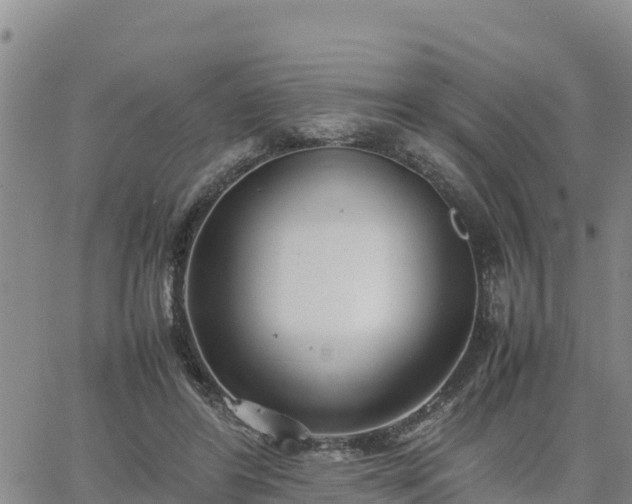 X0000064750404200602171738