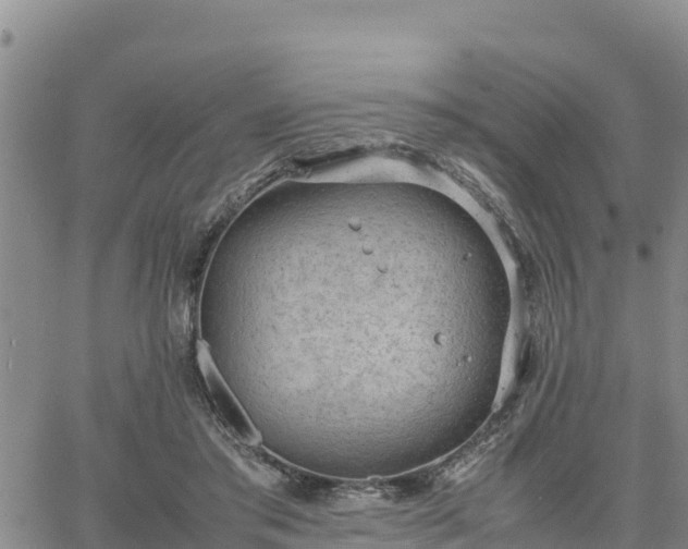 X0000064750405200602171738