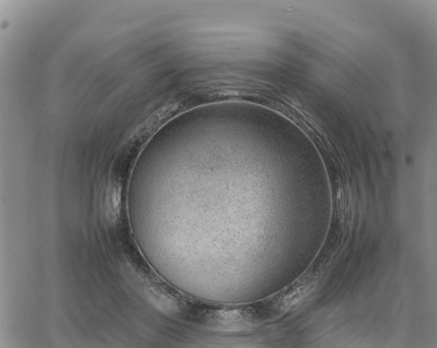 X0000064750406200602171738