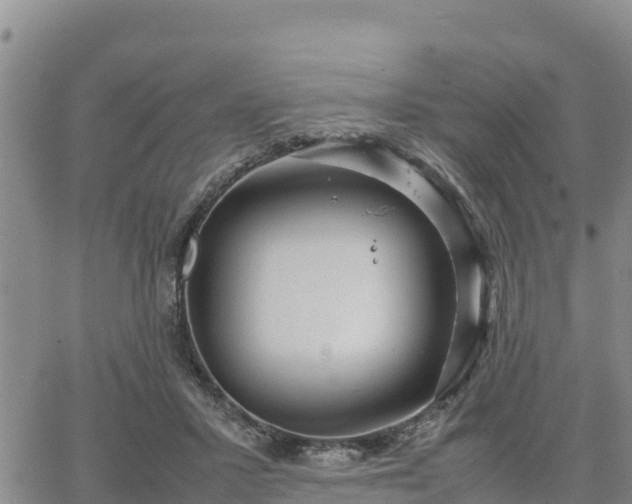 X0000064750407200602171738