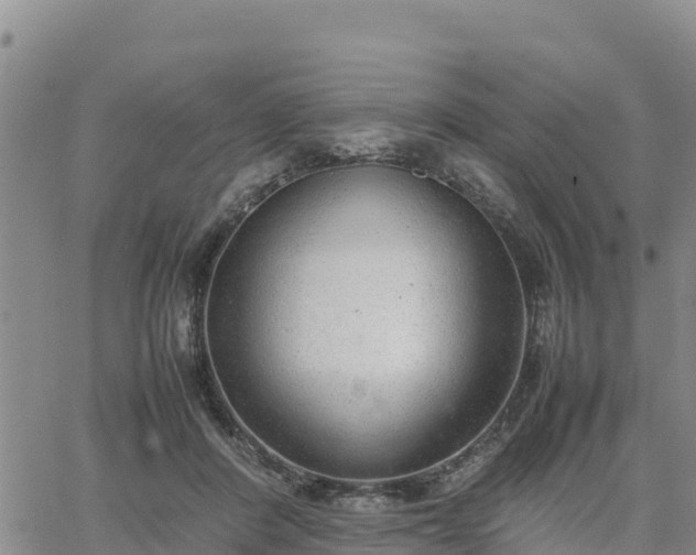 X0000064750408200602171738