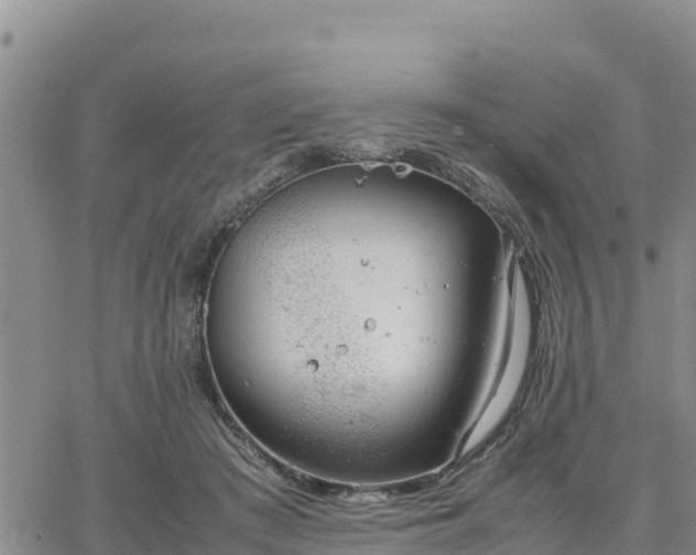 X0000064750409200602171738