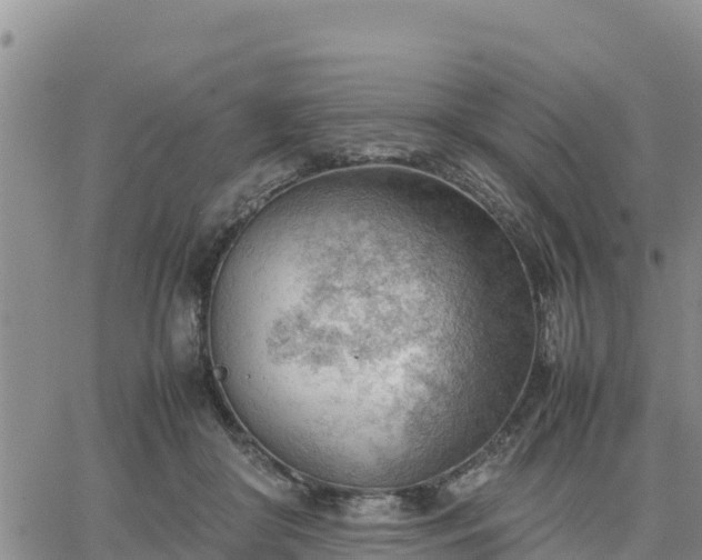 X0000064750410200602171738