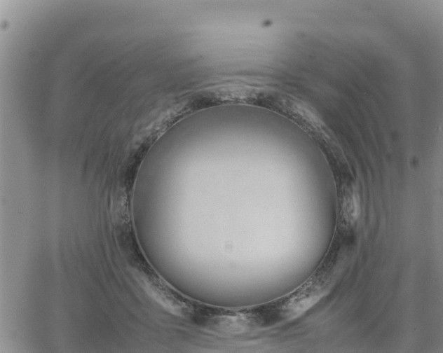 X0000064750411200602171738