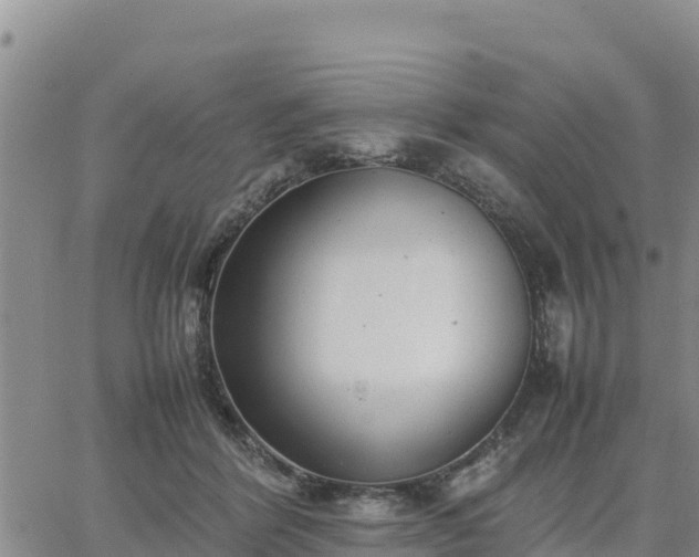 X0000064750412200602171738