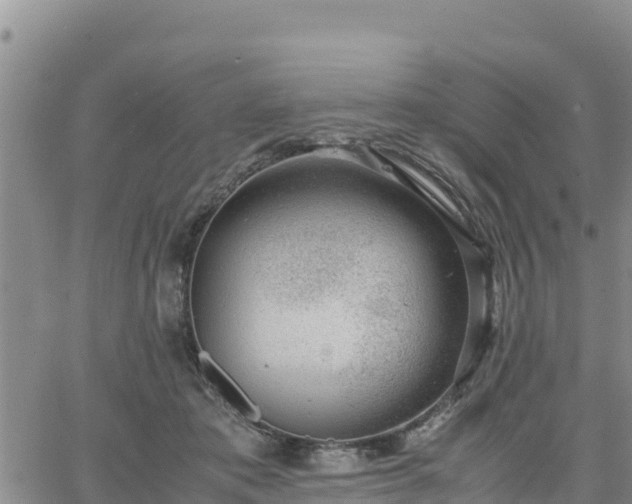 X0000064750413200602171738