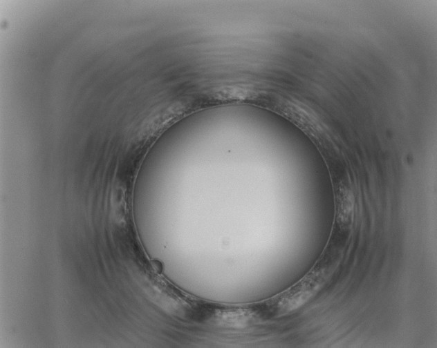 X0000064750414200602171738