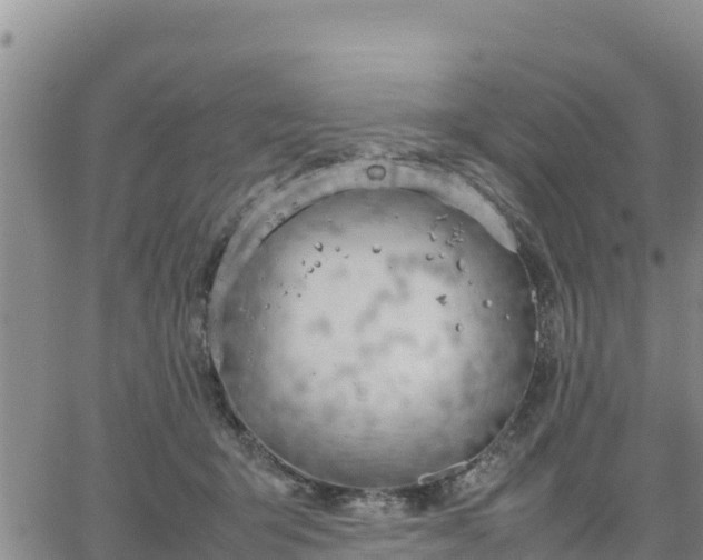 X0000064750415200602171738