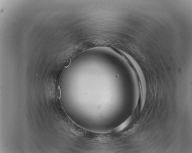 X0000064750416200602171738