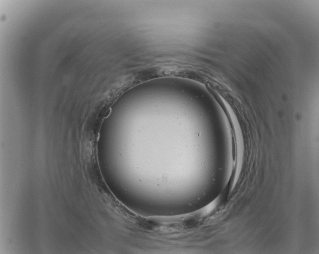 X0000064750417200602171738