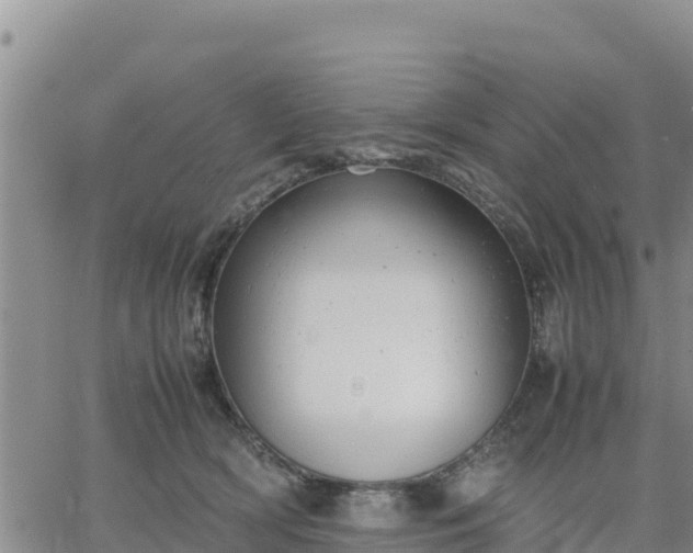 X0000064750418200602171738