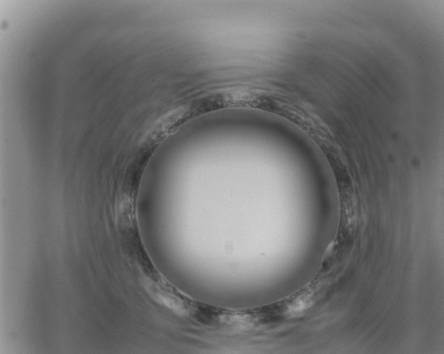 X0000064750419200602171738