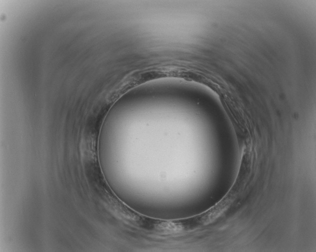 X0000064750421200602171738