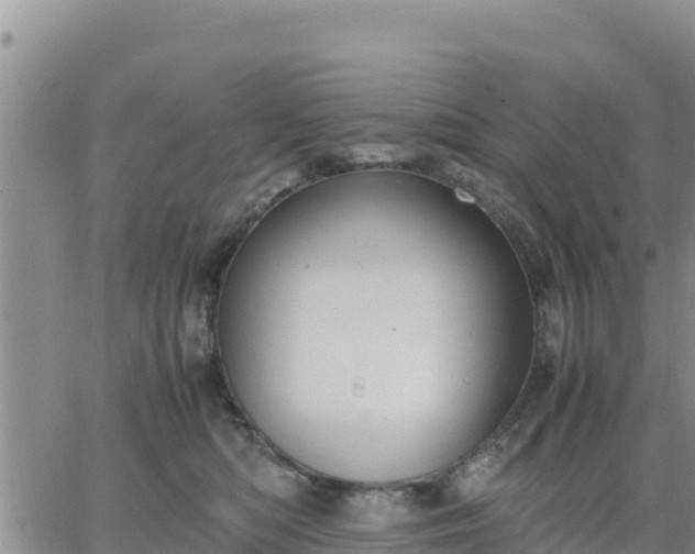 X0000064750422200602171738