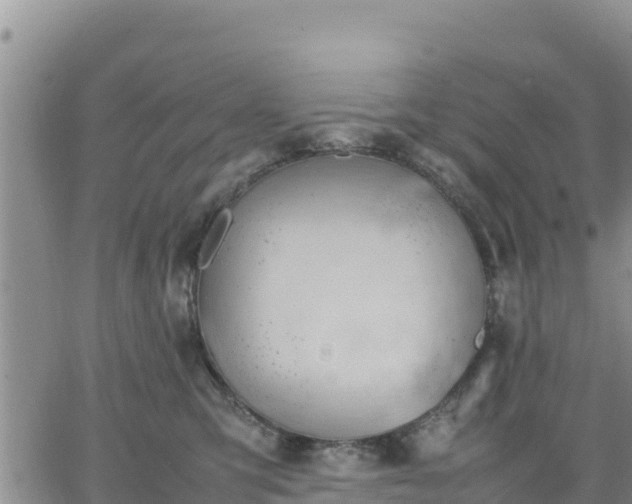 X0000064750423200602171738