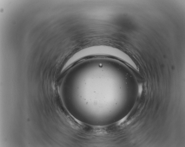 X0000064750424200602171738