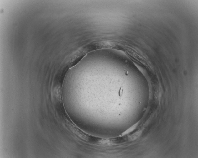 X0000064750425200602171738