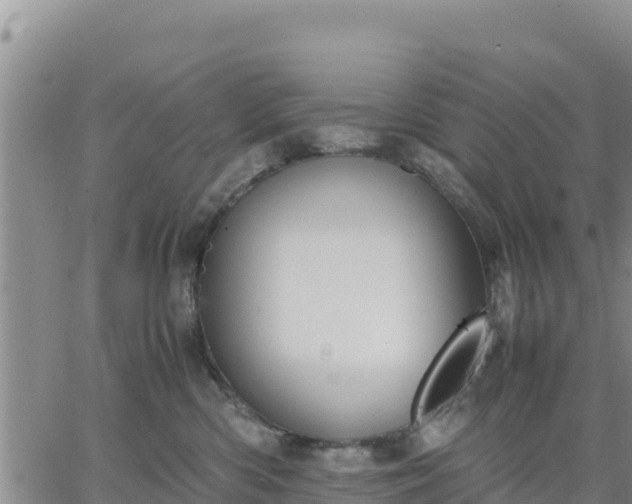 X0000064750426200602171738