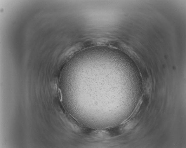 X0000064750427200602171738