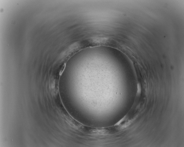 X0000064750428200602171738