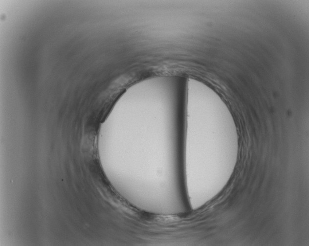 X0000064750429200602171738