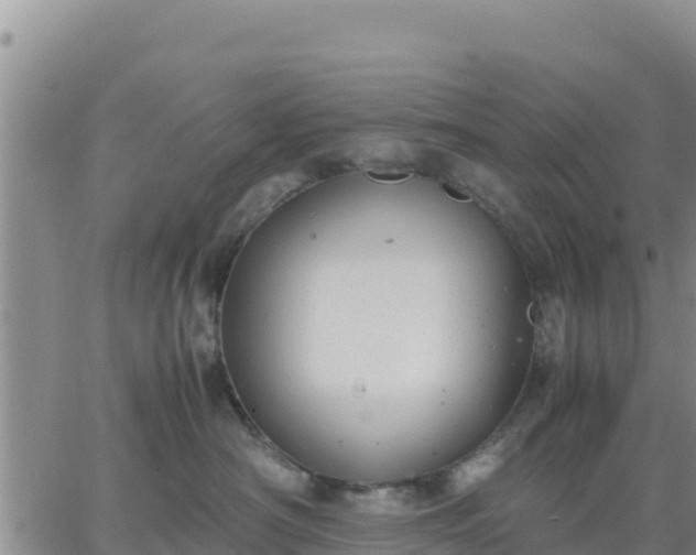 X0000064750430200602171738