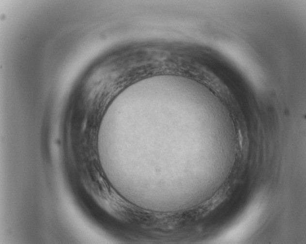 X0000064750431200602171738