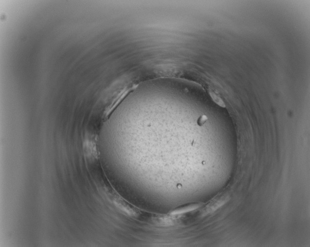 X0000064750432200602171738