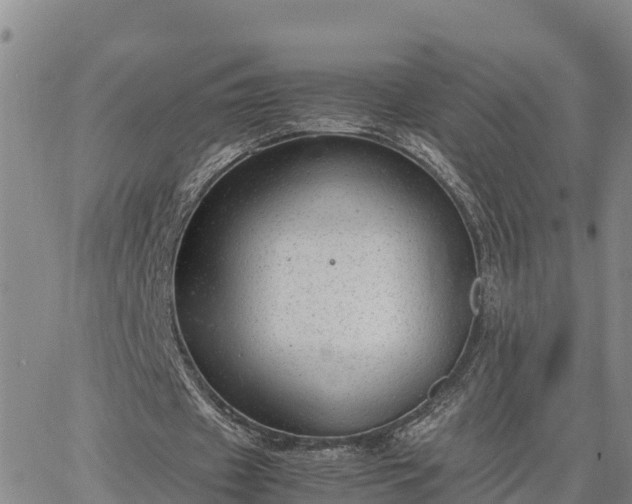 X0000064750433200602171737