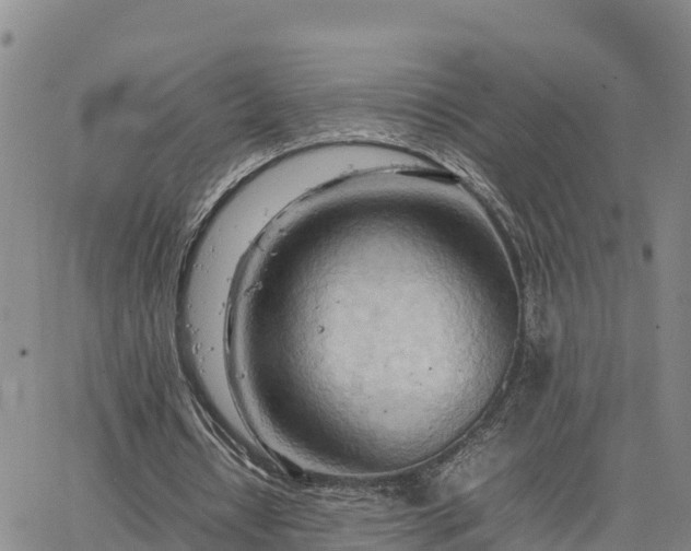 X0000064750434200602171737