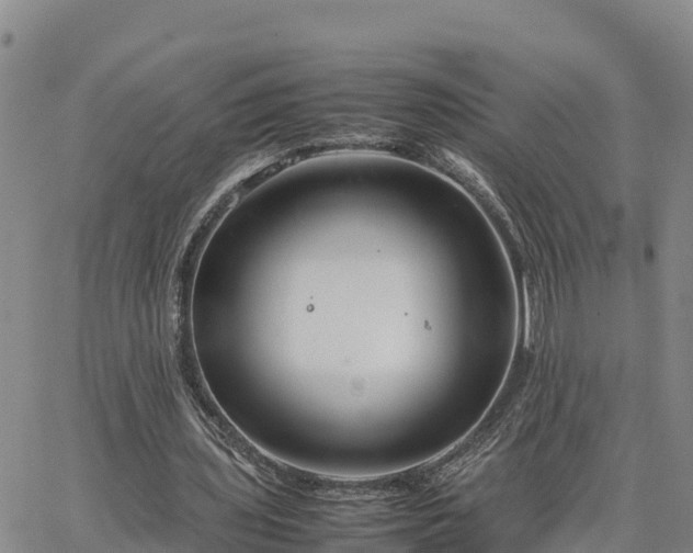 X0000064750435200602171737