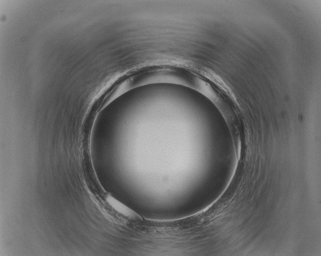 X0000064750436200602171737