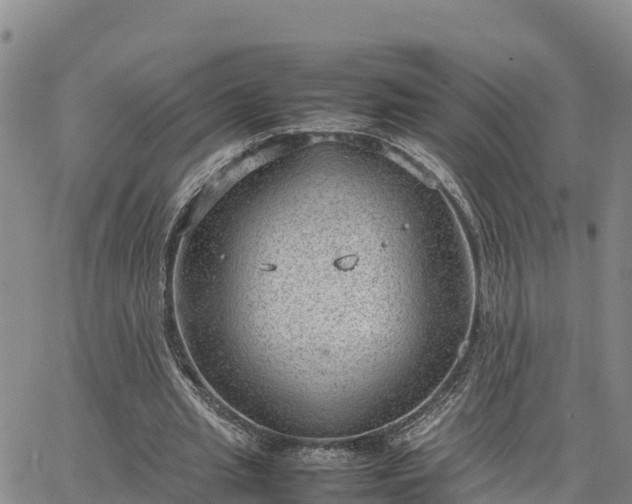 X0000064750437200602171737