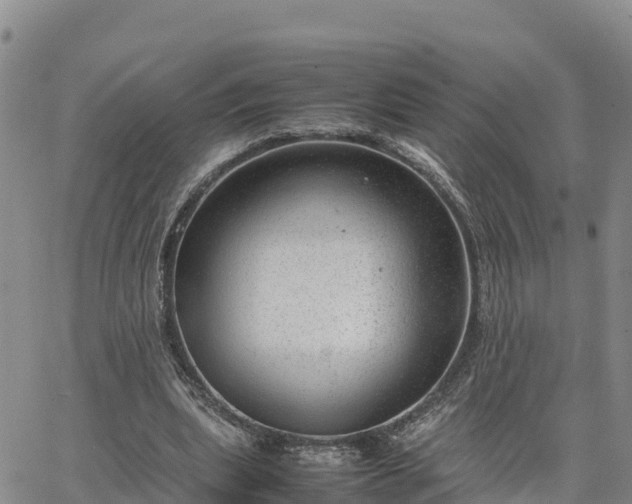 X0000064750439200602171737