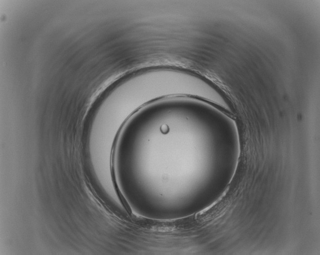 X0000064750440200602171737