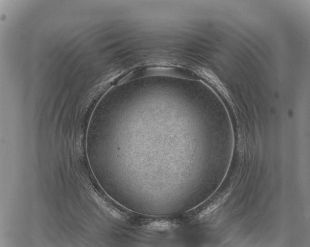 X0000064750441200602171737