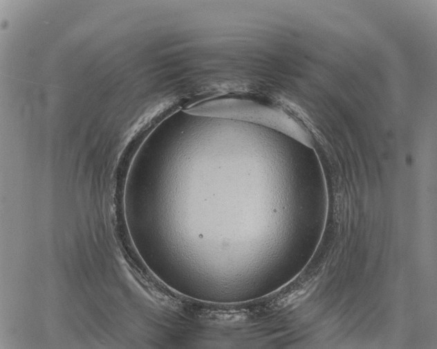 X0000064750443200602171737