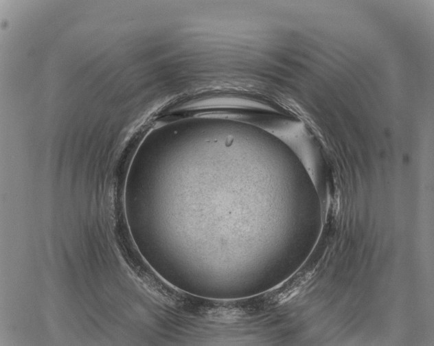 X0000064750444200602171737