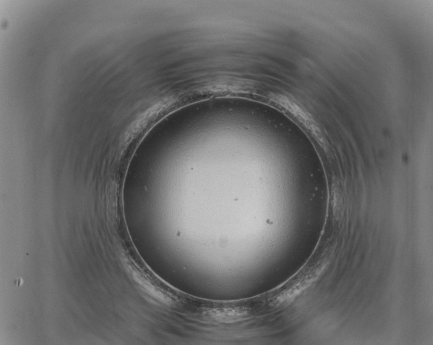 X0000064750445200602171737