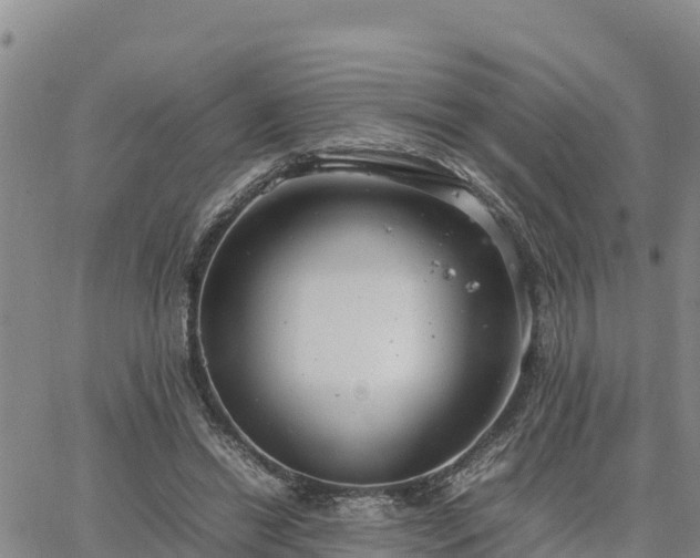 X0000064750446200602171737