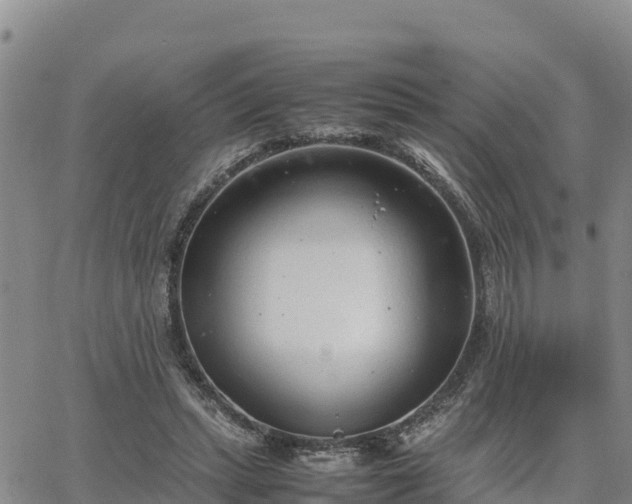 X0000064750447200602171737