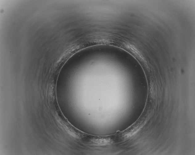 X0000064750449200602171737