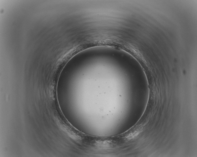 X0000064750450200602171737