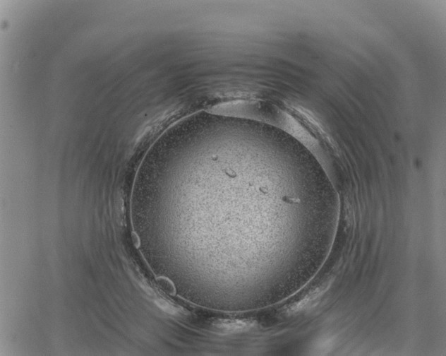 X0000064750453200602171737