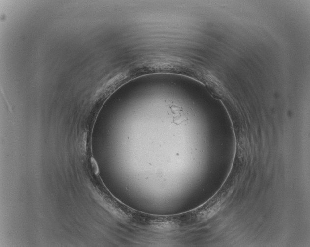 X0000064750454200602171737