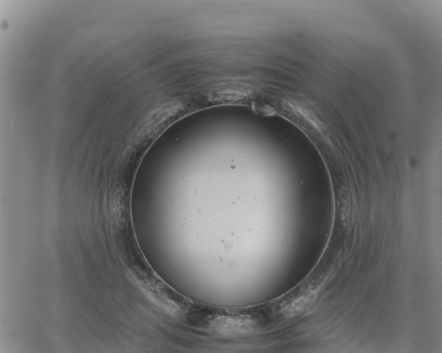 X0000064750455200602171737