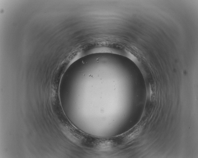 X0000064750456200602171737